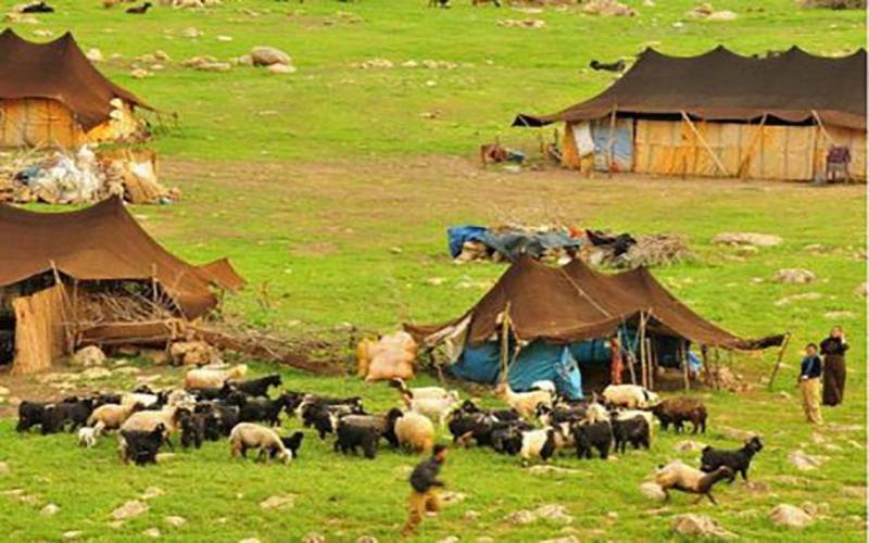 اختصاص بیش از ۶۰۰ میلیارد ریال تسهیلات برای اشتغال عشایر کرمان